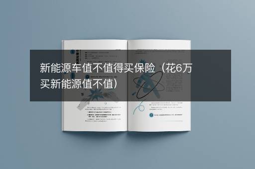 新能源车值不值得买保险（花6万买新能源值不值）