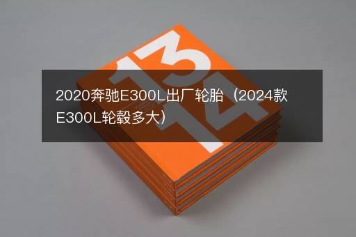 2020奔驰E300L出厂轮胎（2024款E300L轮毂多大）
