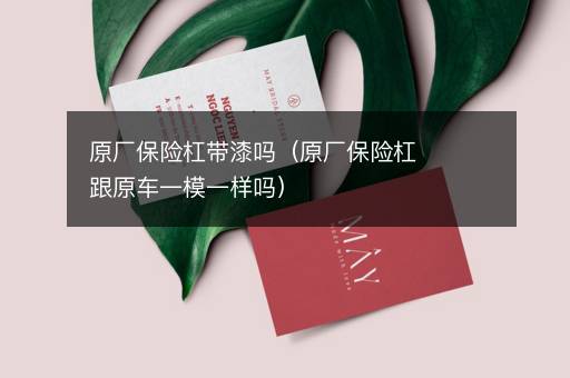 原厂保险杠带漆吗（原厂保险杠跟原车一模一样吗）
