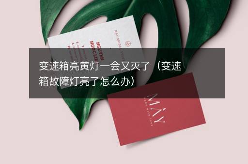变速箱亮黄灯一会又灭了（变速箱故障灯亮了怎么办）