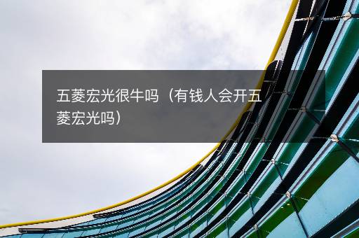 五菱宏光很牛吗（有钱人会开五菱宏光吗）