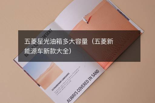 五菱星光油箱多大容量（五菱新能源车新款大全）