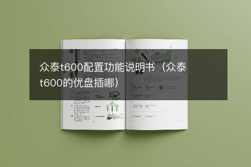 众泰t600配置功能说明书（众泰t600的优盘插哪）